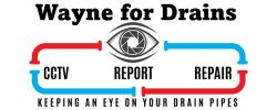 Photo of Wayne for Drains Photo of Wayne for Drains